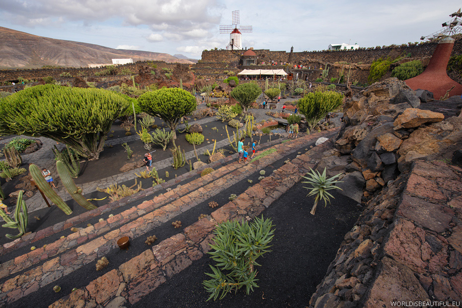 Ogród kaktusów, Lanzarote