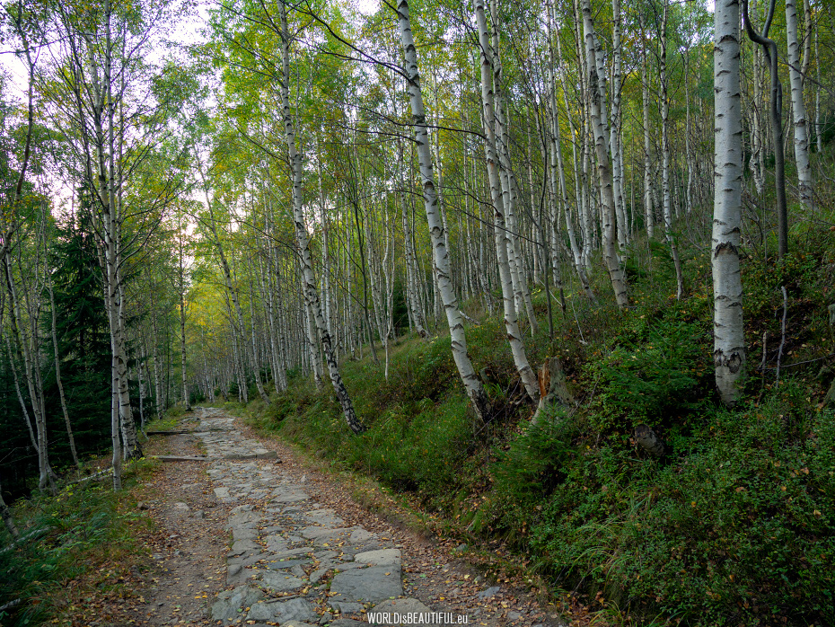 A trekking trail to Karpacz