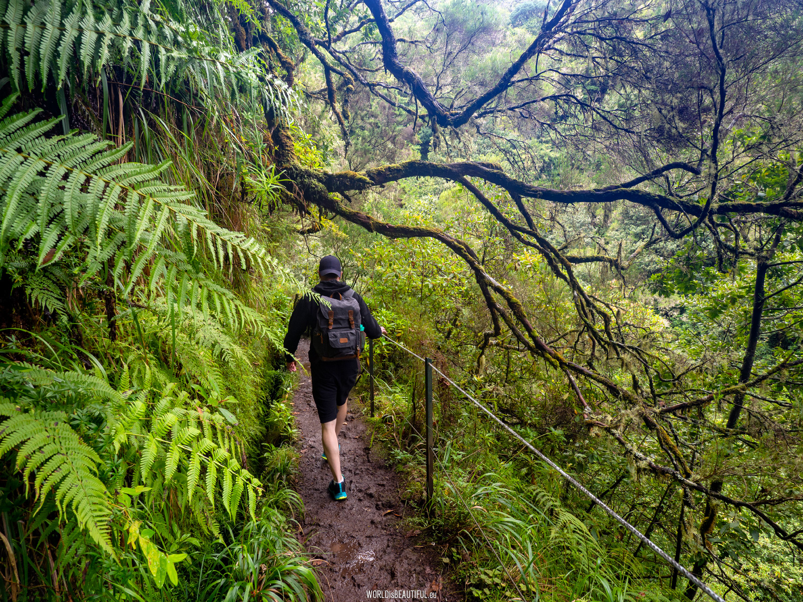 Madeira - Levada hiking trails