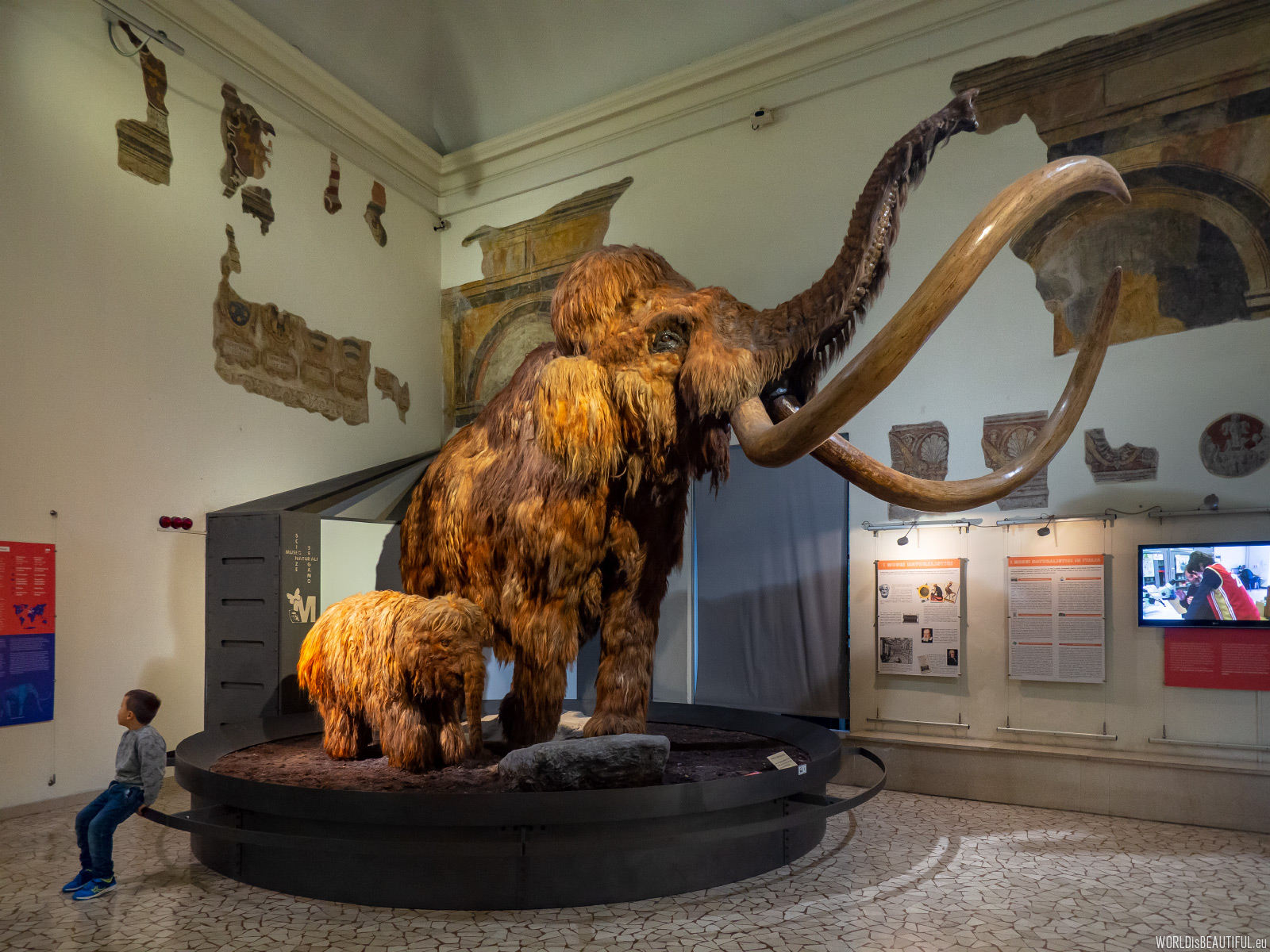 Museum of Natural Science in Bergamo