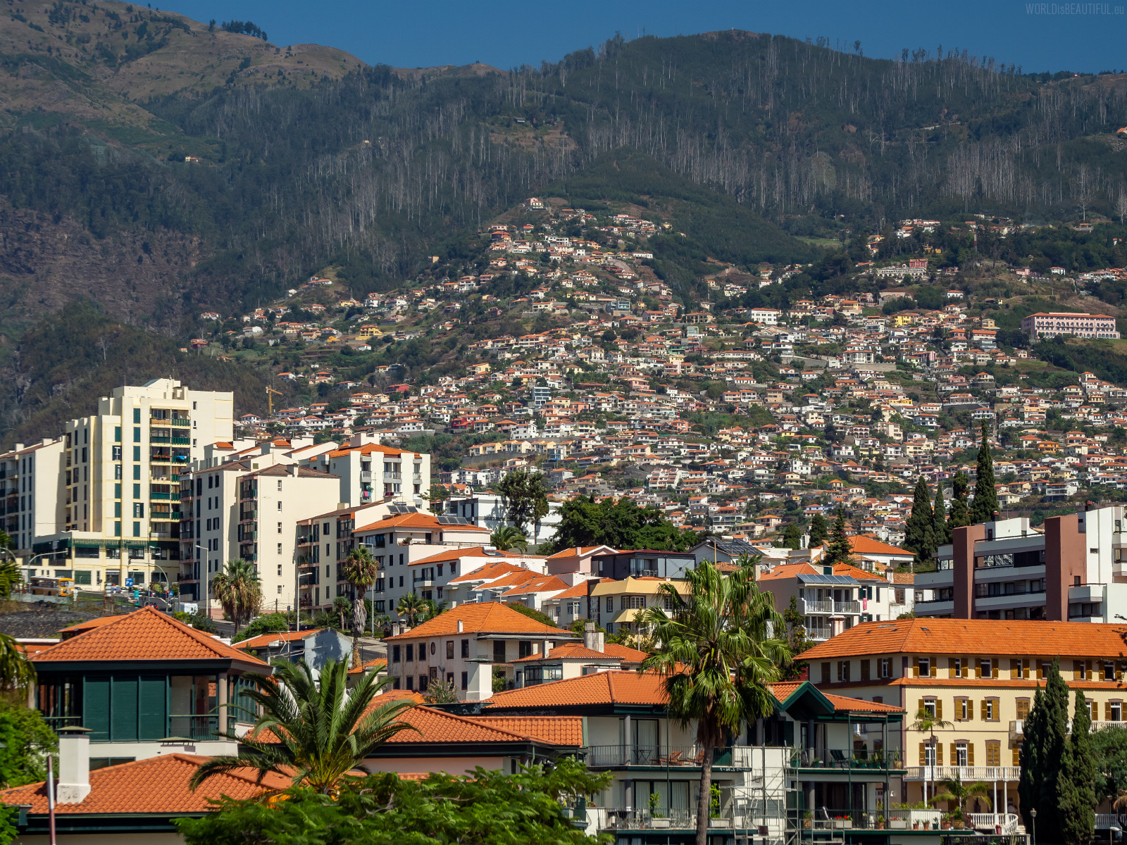 The capital of Madeira