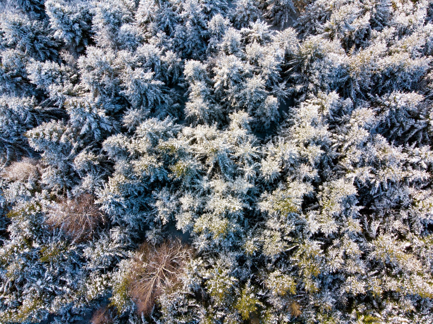 Naturalne abstrakcje: Zima