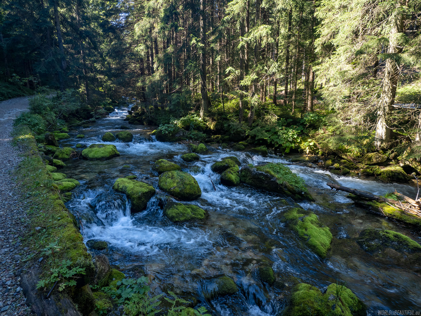 Bystra stream in the Tatras
