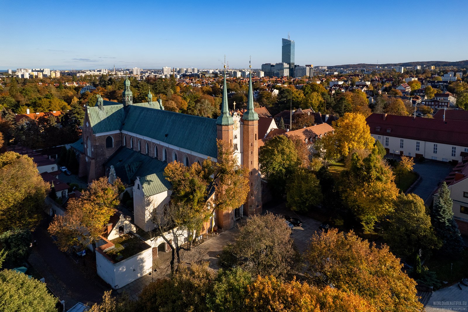 Katedra Oliwska jesienią