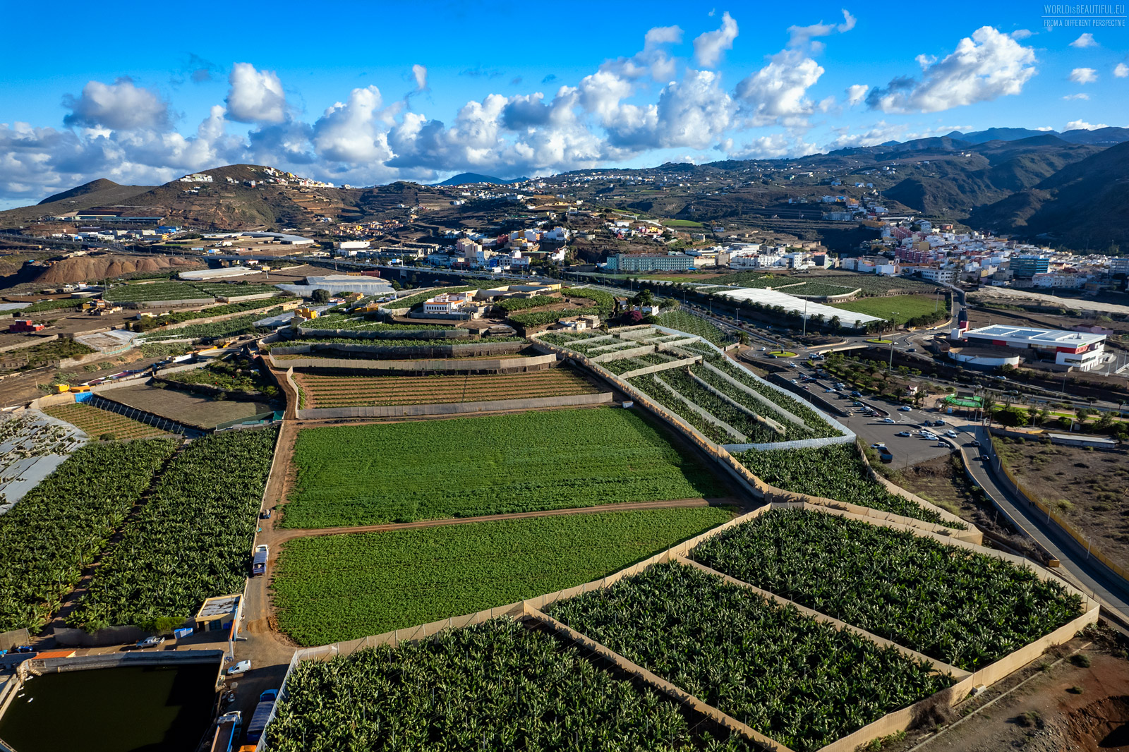 Banana plantations in the Canary Islands