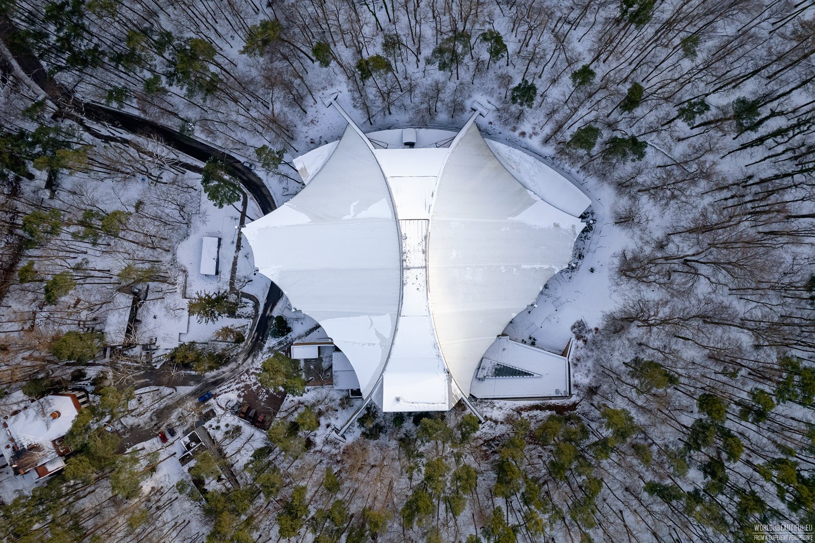 Forest Opera in winter