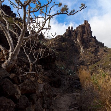 Gorge of Masca Trekking, Tenerife