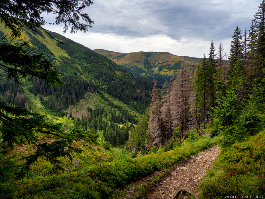 Trail in the Tatras on Trzydniowiański Wierch