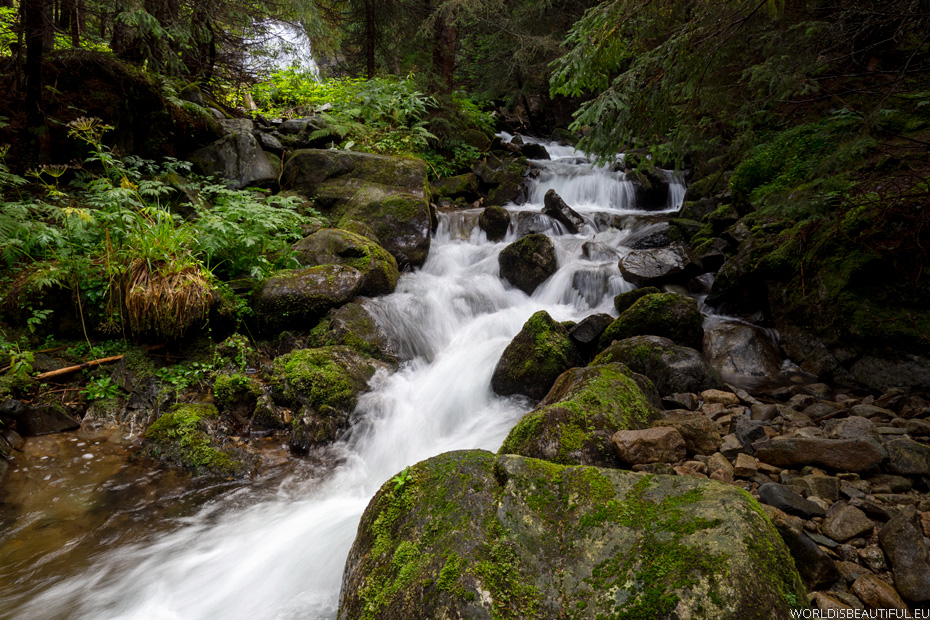 Creek in mountains, Jarzabczy Potok