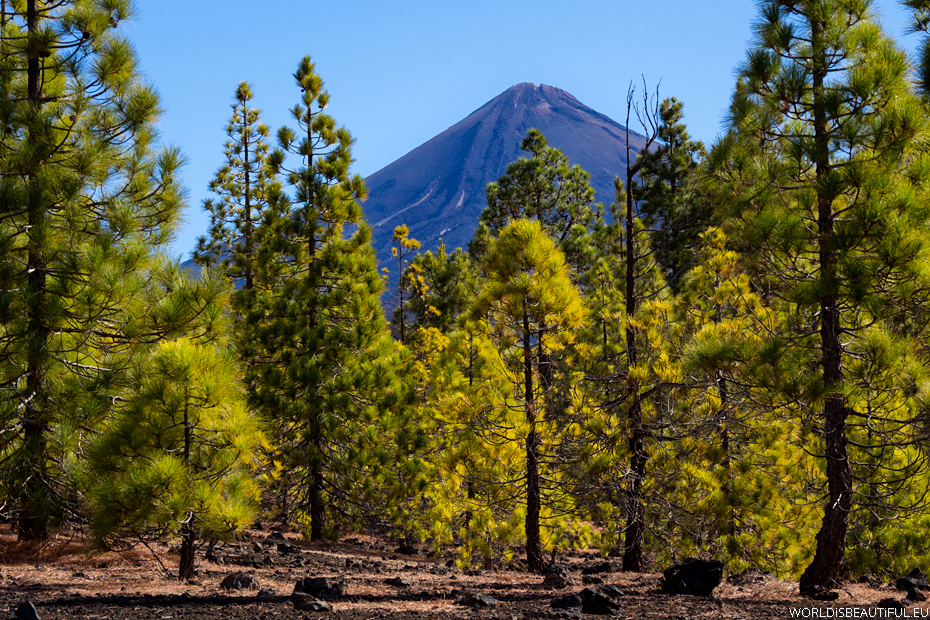Wulkan Teide