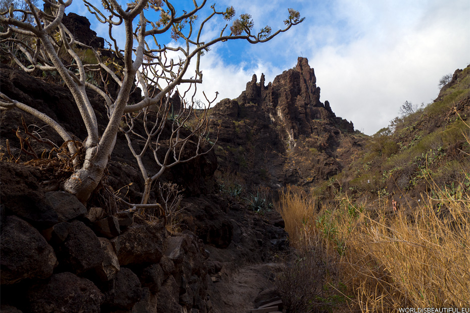 Photos from the Masca gorge