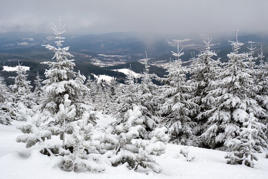 Winter in Czarna Gora Ski Resort
