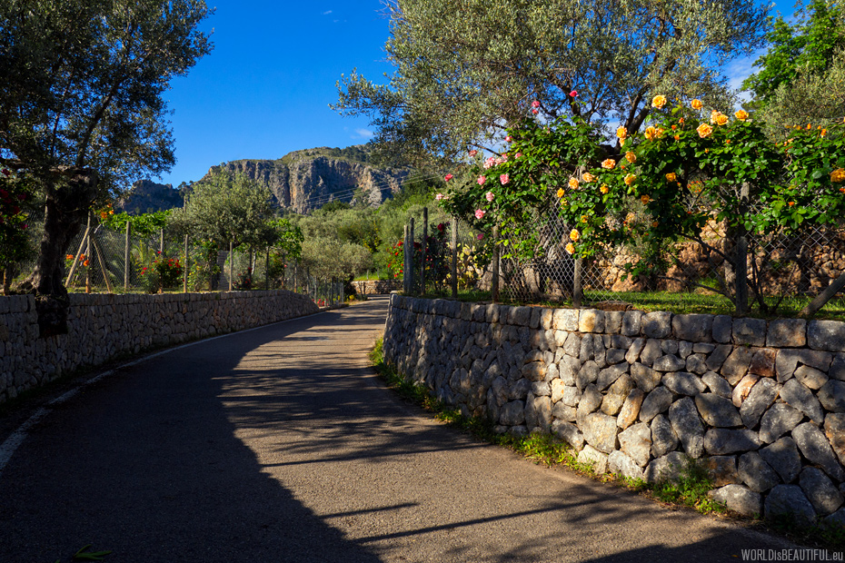 Scenic road to Soller